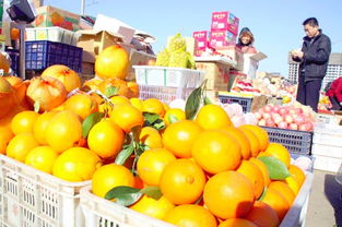 4月底以来全国橙子价格整体呈涨势